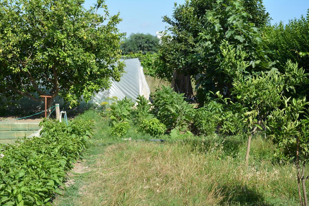 Yavuzhan Hotel Side Zewnętrze zdjęcie